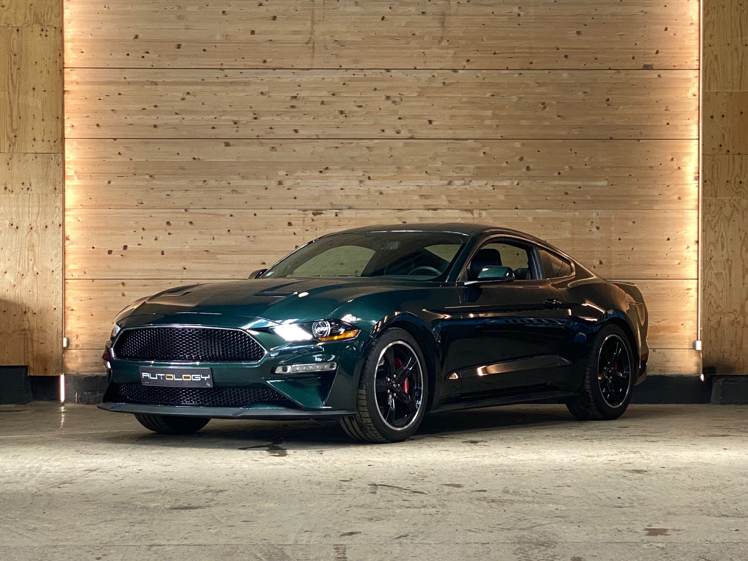 Ford Mustang V8 5.0 Bullitt