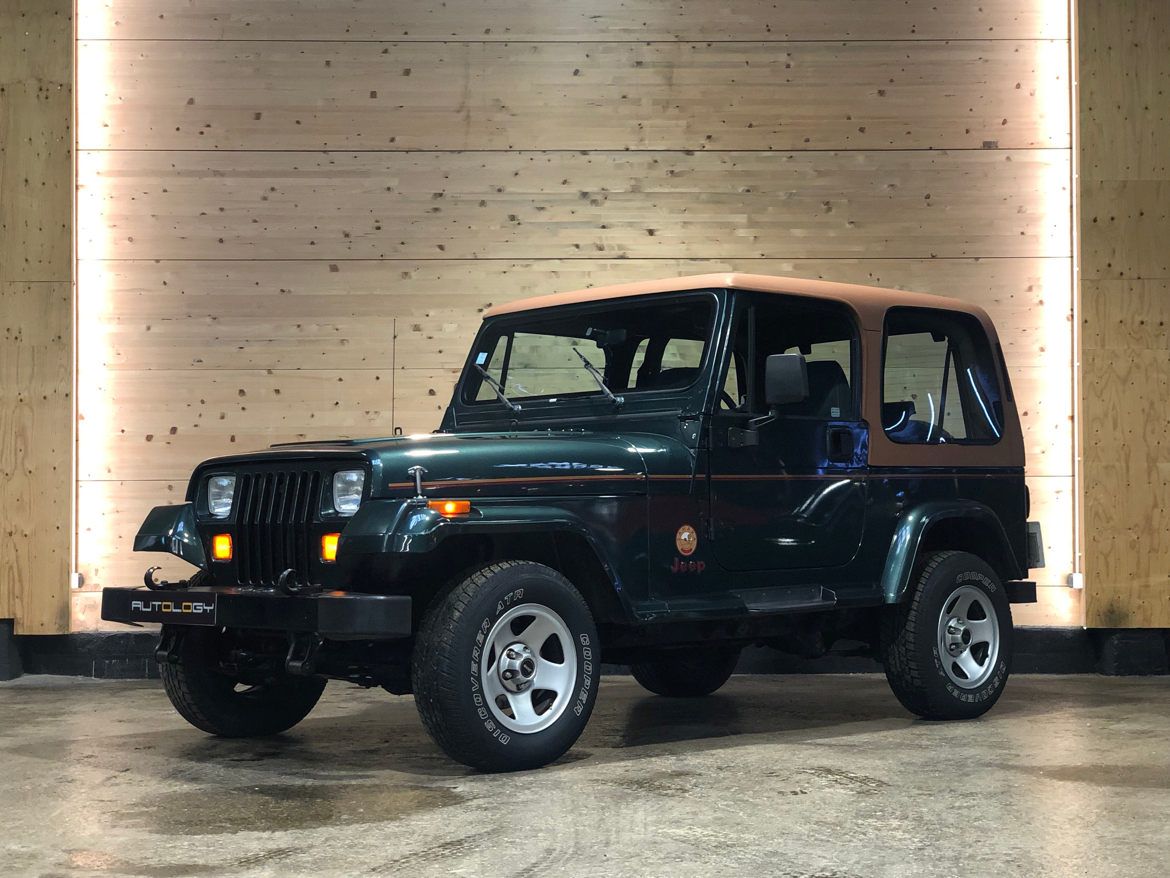 Jeep Wrangler YJ 4.0 Sahara